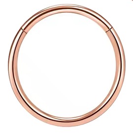 PIERCINGFUN Women Men G23 Titanium Hinged Piercing Nose Rings Hoop 18G 10mm for Nostril Septum Cartilage Helix Daith Tragus Rook Conch Lip Ear Lobe Belly Eyebrow Piercings, 1.0*10mm, Titanium, no