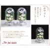 Art Four Season ◎Offering Mom Dome Preserved Flower (White)