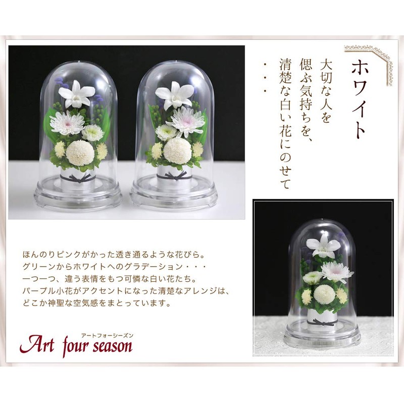 Art Four Season ◎Offering Mom Dome Preserved Flower (White)