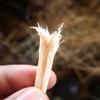 Mbariket - Varillas para masticar dentales africanas, paquete de 6