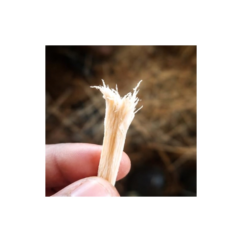 Mbariket - Varillas para masticar dentales africanas, paquete de 6