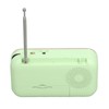 Bluetooth Speaker Radio Portable Bluetooth Memory Card U Disk MP3