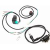 Fuerduo Wire Harness CDI Ignition Coil Spark Plug Wiring Loom