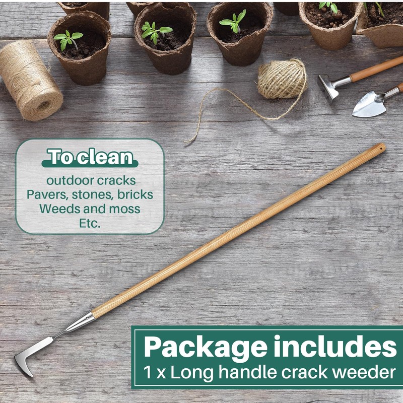 Lothee Garden Long Handle Crack Weeder 54 Inch Stainless Steel