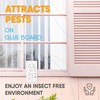 Flyweb Fly Light Glue Boards 1 Pack of 10 Replacement