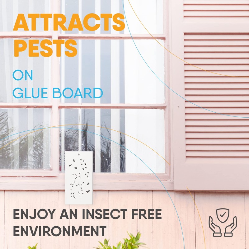 Flyweb Fly Light Glue Boards 1 Pack of 10 Replacement