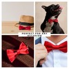 BrightPocket Mens Bow Tie Classic Solid Satin Color Pre Tied