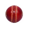 SG club cricket Ball Leather(Red) Standard Size