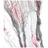 "BLOODY GHOST" 90 cm -