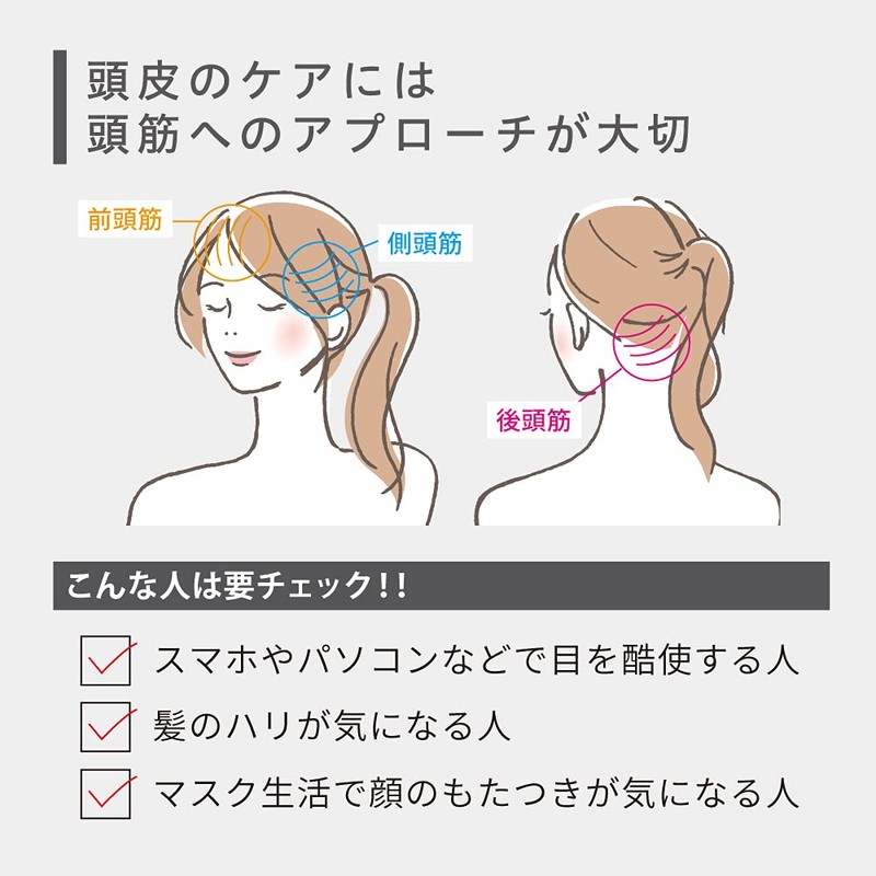 Vellcida Denki Scalp Brush, Black