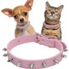Pimaodog Spiked Studded Leather Dog Collar Mushrooms Rivets Cat Collar