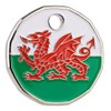 Harts 1 x Welsh Dragon New 12 Sided £1 size
