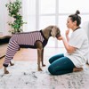 Kuoser Dog Recovery Suit, Anti Licking Dogs Rear Leg Sleeve,
