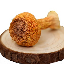 Brazil Mushroom;Ji Song Rong;Agaricus Blazei;Garicus Blazei Murill;Blazei Brazilian Cap Mushroom Ji Song Rong;Dried Agaricus Blazei/Tricholoma Matsutake,Himematsutake (250 g(0.55 Pound))