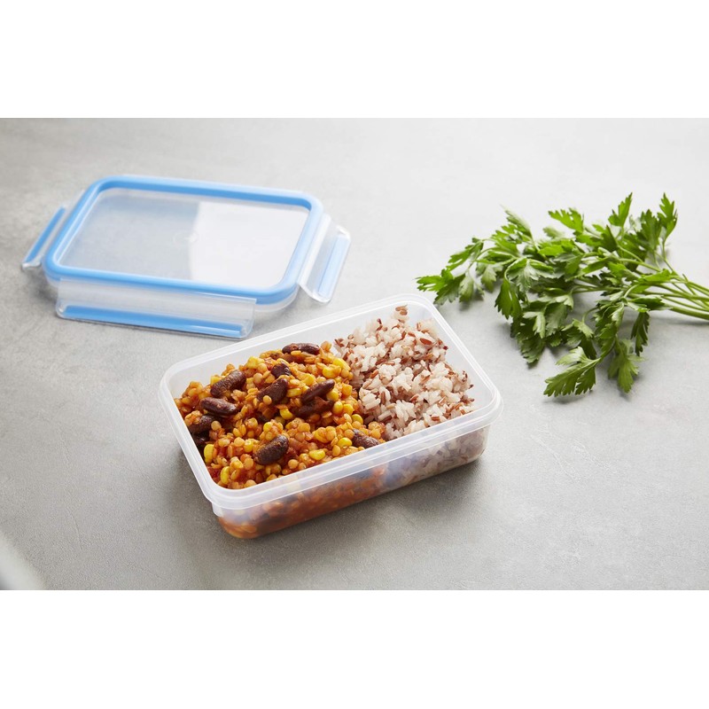 Tefal Masterseal Fresh – Plastic Food Box, Plastic, Blue, 0.8