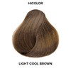 L'Oréal Technique HiColor Browns & Blondes Permanent Hair Color -