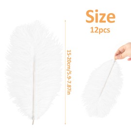 Dokeno White Ostrich Feathers, 6-8 Inches, Pack of 12 Natural Ostrich Feathers, Ostrich Feather for Crafts, DIY Dream Catcher, Accessories, Home Decoration, Costumes, Table Decoration, Wedding