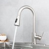 Kohonby Single Handle Kitchen Faucet with Pull Down Sprayer Modern