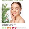 Esponjas Konjac Corporales (Paquete de 2) Exfoliantes de Nuez 100%