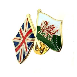 Wales Welsh Cymru United Kingdom UK Union Jack Friendship Metal Enamel Country Flags Pin Badge