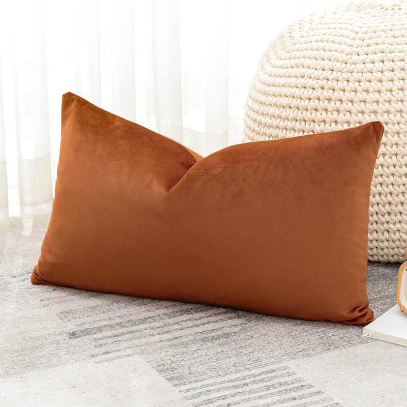 Artscope Luxury Velvet Cushion Covers Super Soft Decorative Throw Pillow