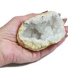 Quartz Geode Crystal Specimen - Extra Large