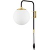 Caserti Plug-in Globe Wall Lamp | Black with Satin Brass