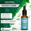 BASIC GREENS BASIC GREENS Lymphatic Support Liquid ?C Natural Immune