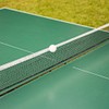 Dilwe Red de Tenis de Mesa, Red de Ping Pong