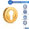 XFORT® 2 Pack Euro Escutcheons Polished Brass, Escutcheon Keyhole Cover,