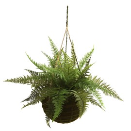 Nearly Natural Leather Fern with Mossy Hanging Basket (Indoor/Outdoor) (Set of 2)