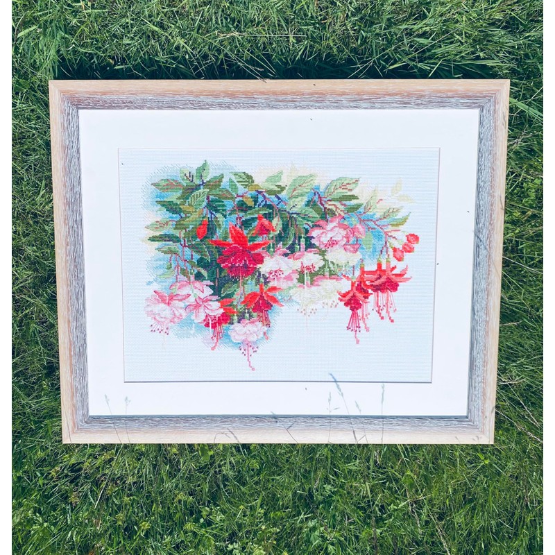 Riolis Stickbildset, Kreuzstich, Motiv Fuchsien, Mittel, Weiß