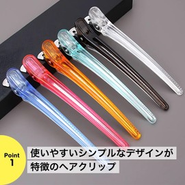 Dakar Hair Clips Professional 6 Colors 10pcs Alligator Clip Bangs Hair Clips, NYANDELMO Black (10pcs)