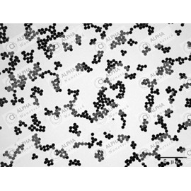 Alpha Nanotech Colloidal Silica Nanoparticles (1000 nm, 10 ml, 10 mg/ml)