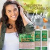 Every Strand Acondicionador Reparador para cabello muy dañado 399ml