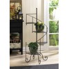 Spiral Showcase Plant Stand