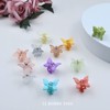 Kavya Butterfly Hair Clip Small Pack of 12 Women's Matte