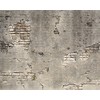 Wall Rogues WR50520 Broken Concrete Wall Mural