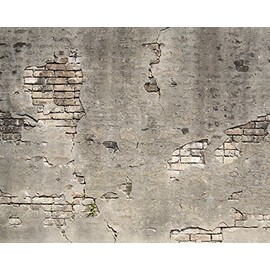 Wall Rogues WR50520 Broken Concrete Wall Mural