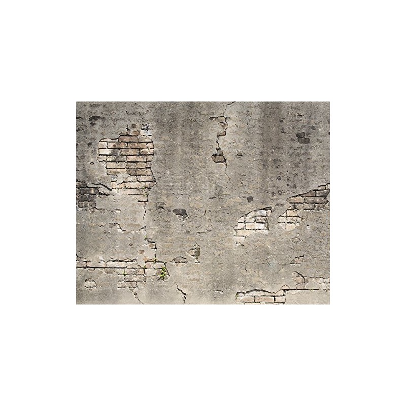 Wall Rogues WR50520 Broken Concrete Wall Mural
