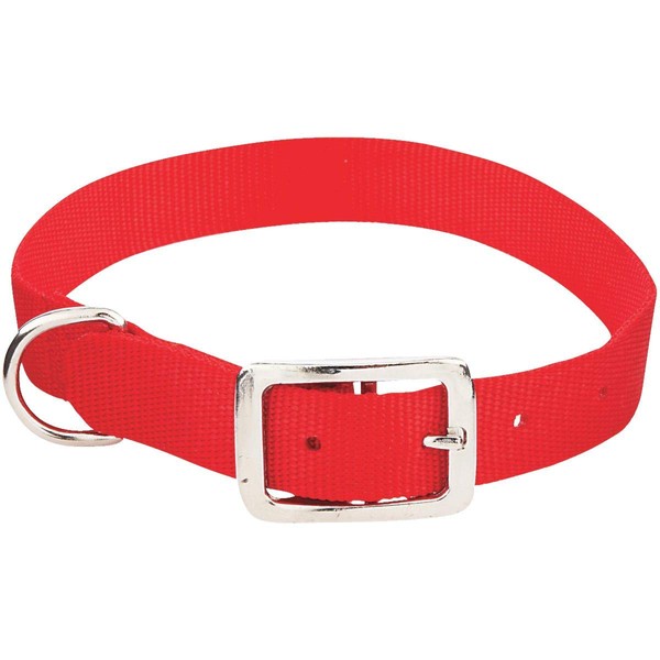 American Leather Specialties #31422 1x22 Buckled Dog Collar
