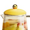 Health Pot Stainless Steel Glass Multifunctional Mini Electric Tea Maker