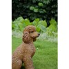 HiLine Gift Ltd. Poodle Sitting Statue Brown White 15.5" x