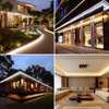 BENLUN AC 110V COB LED Strip Lights Outdoor Waterproof 65.6ft,