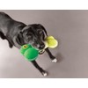 KONG Off/On Squeaker Bone Pequeño