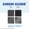 Rust-Oleum 1976502 Painter's Touch Latex Paint, Quart, Flat Black, 32