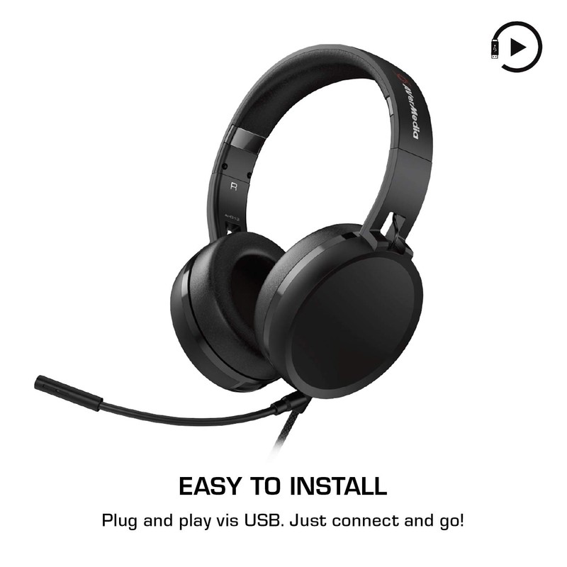 AVerMedia Video Conference Kit 317