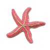 Starfish - Coral Pink/Gold - Sea Star - Iron on