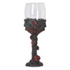Nemesis Now B4479N9 Carpe Noctem Goblet 20cm, Resin w. Stainless