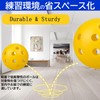 NOELAMOUR 50pcs 42mm Hole Ball Practice Ball Training Ball Batting